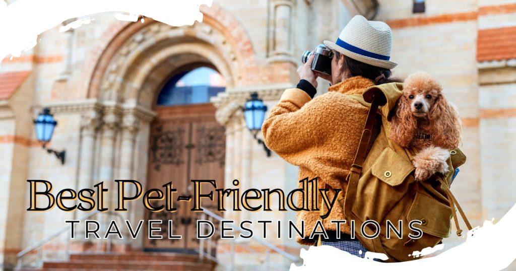 Top 15 Best Pet-Friendly Travel Destinations in 2025