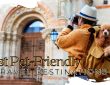 Top 15 Best Pet-Friendly Travel Destinations in 2025