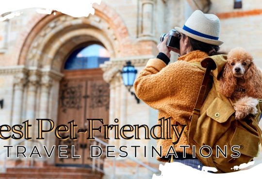 Top 15 Best Pet-Friendly Travel Destinations in 2025