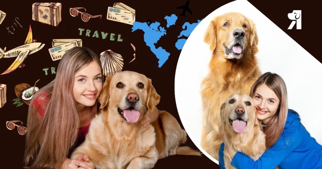 12 Safety Tips for Pet Owners to Ensure Joyful Travel