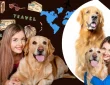 12 Safety Tips for Pet Owners to Ensure Joyful Travel
