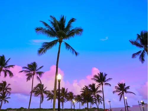 Rising Latin American Beach Towns You Must Visit Now