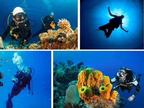 Top 7 Scuba Diving Destinations in 2025 for Epic Adventures