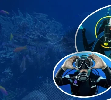 Top 7 Scuba Diving Destinations in 2025 for Epic Adventures