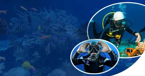 Top 7 Scuba Diving Destinations in 2025 for Epic Adventures