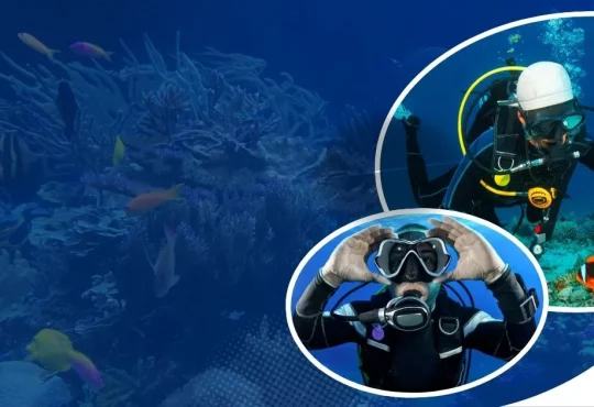 Top 7 Scuba Diving Destinations in 2025 for Epic Adventures